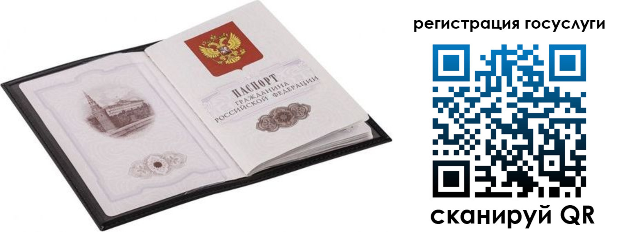 временная регистрация поиск в Снежинске